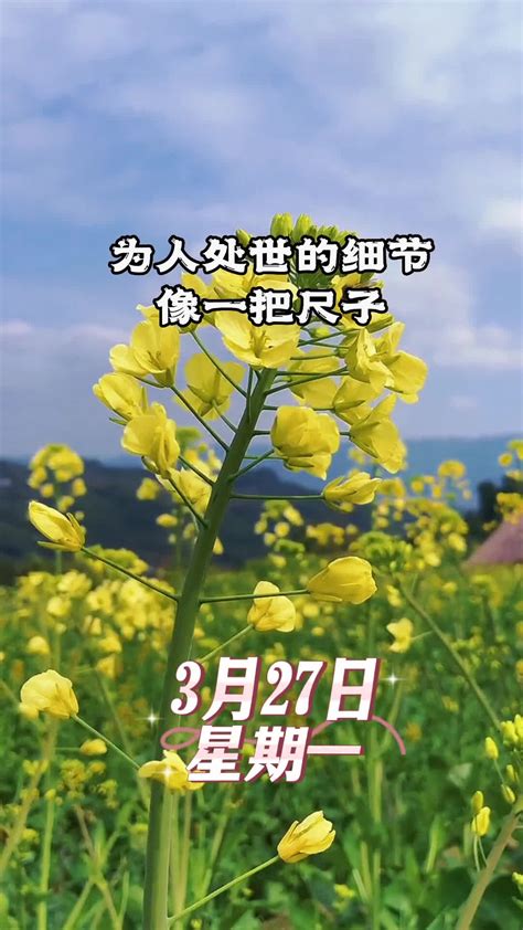 2023年3月最吉利入宅是哪天_2023年3月入宅黄道吉日查询,第18张